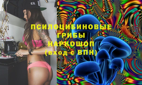 спиды Белокуриха