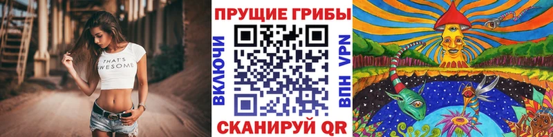Галлюциногенные грибы мицелий наркошоп Верхний Тагил